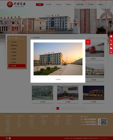 千隆食品攜手千助科技 以專業數據處理服務為核心的北京網站建設解決方案